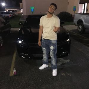 Meet your Posher, Paul